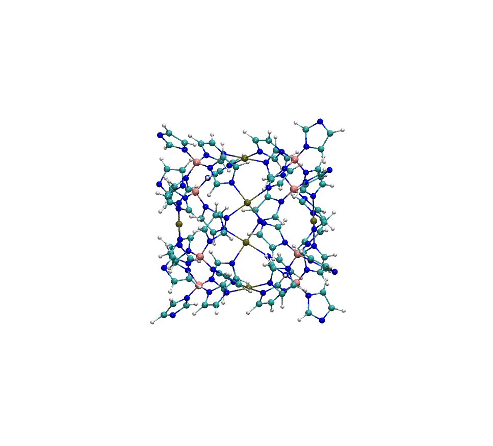 simulation protein